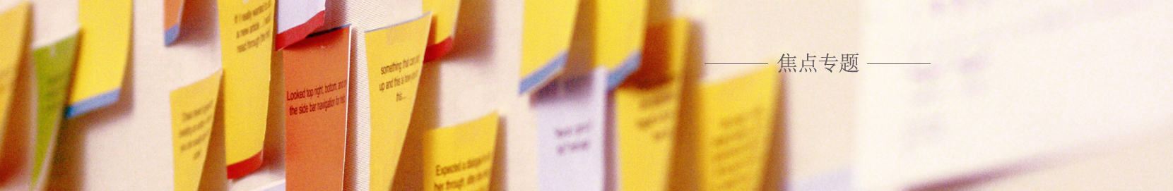 ����ר��